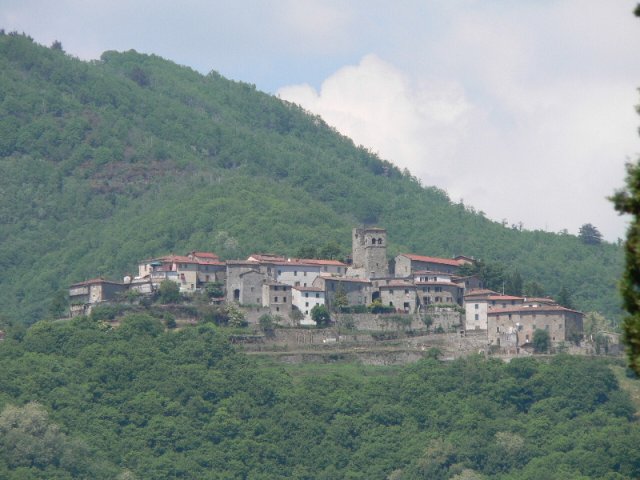 barga0005