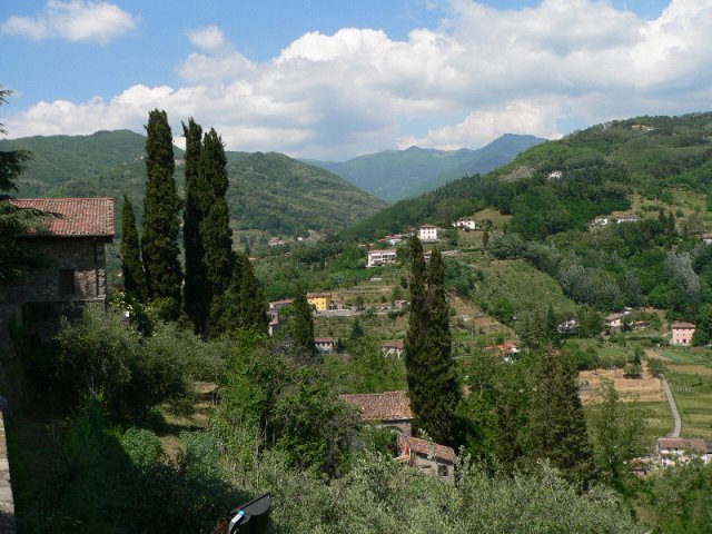 barga0006
