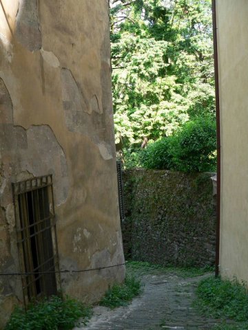 barga0010