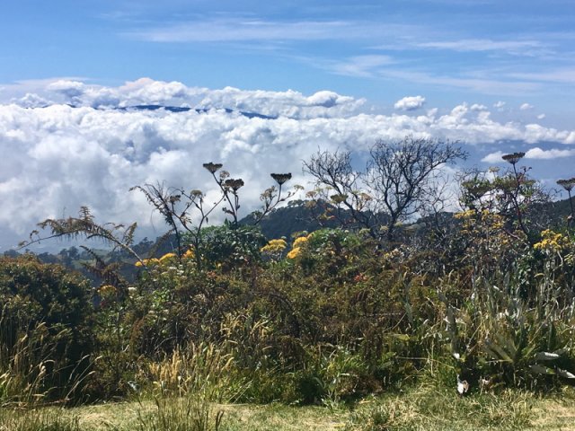 costa_rica_karibik_2020_06