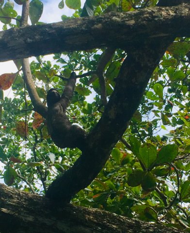 costa_rica_karibik_2020_17