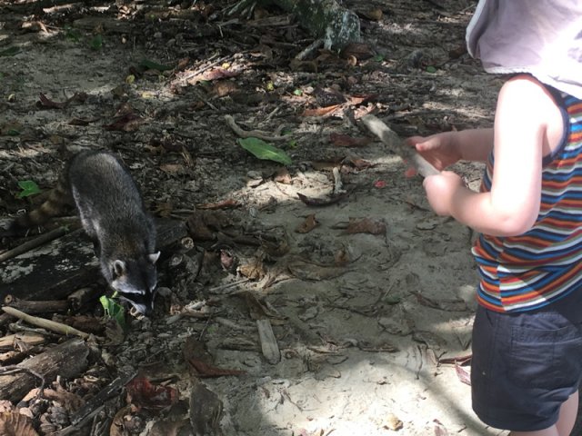 costa_rica_karibik_2020_18