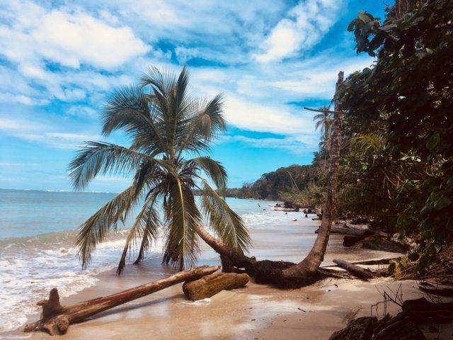 costa_rica_karibik_2020_19