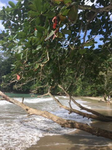 costa_rica_karibik_2020_24