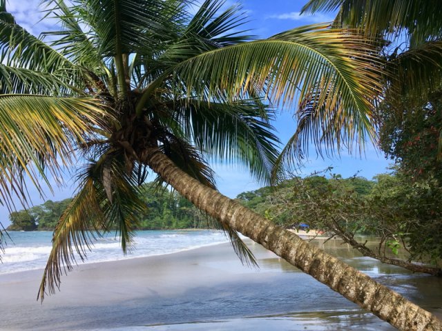 costa_rica_karibik_2020_25