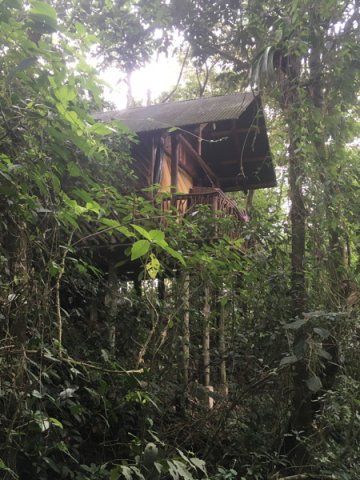 costa_rica_karibik_2020_39