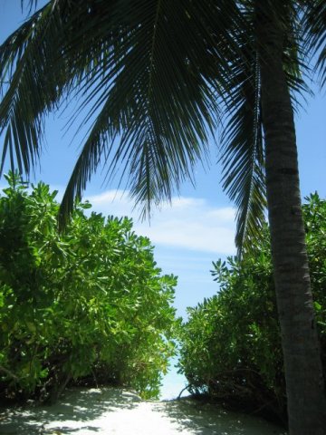 malediven_04