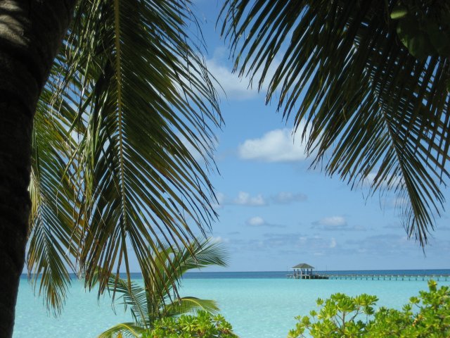 malediven_19