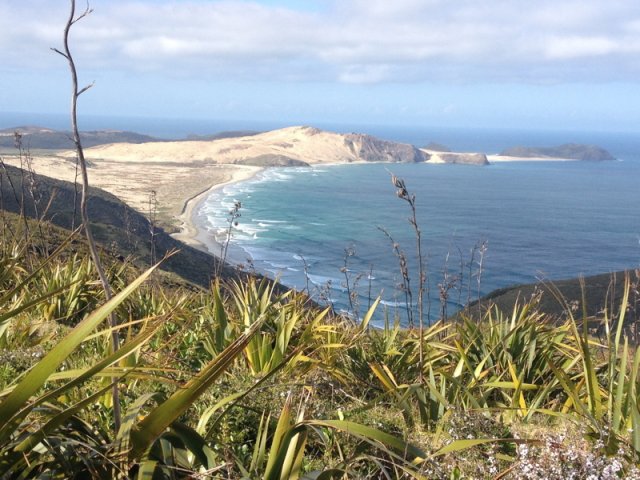 nz_nordinsel_2017_0039