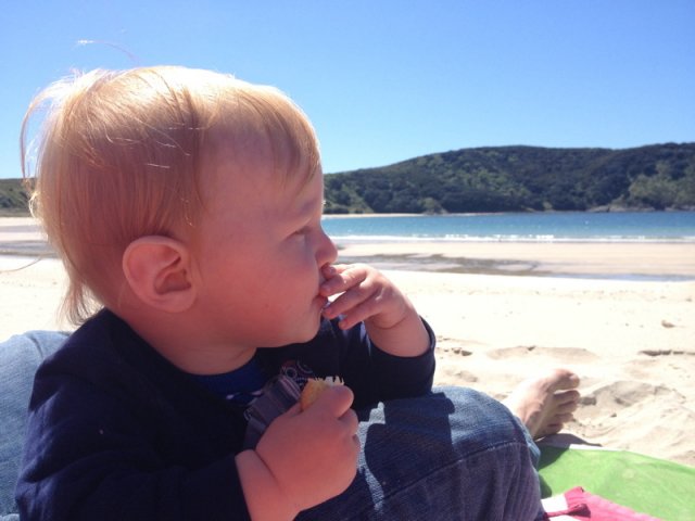 nz_nordinsel_2017_0045