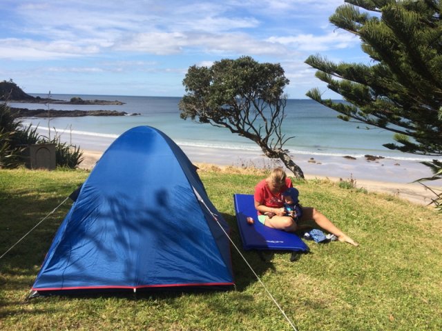 nz_nordinsel_2017_0054