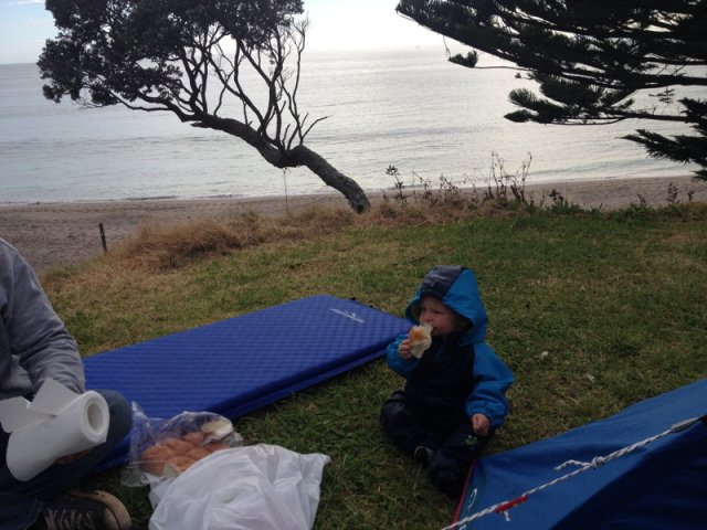 nz_nordinsel_2017_0064