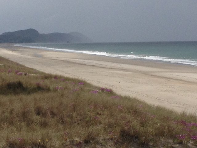 nz_nordinsel_2017_0069