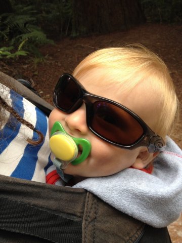 nz_nordinsel_2017_0079