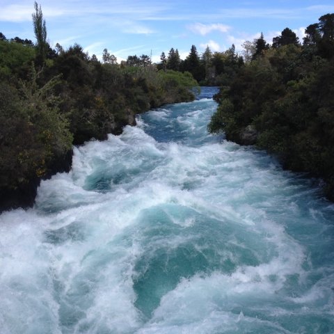 nz_nordinsel_2017_0087