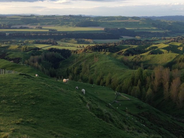 nz_nordinsel_2017_0096