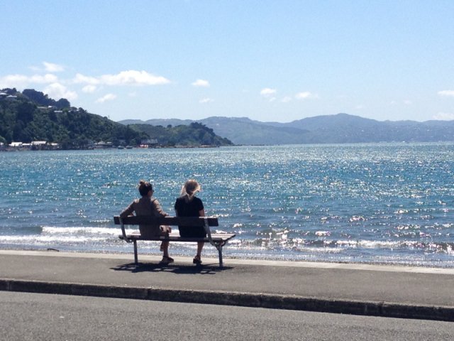 nz_nordinsel_2017_0121