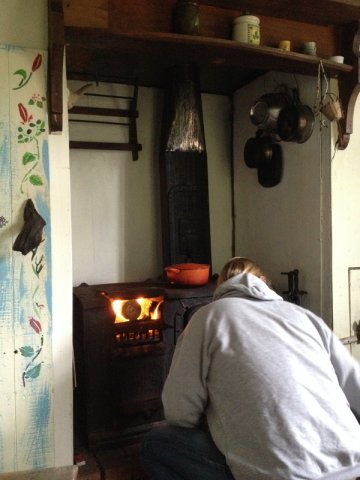 nz_sdinsel_2017_0003