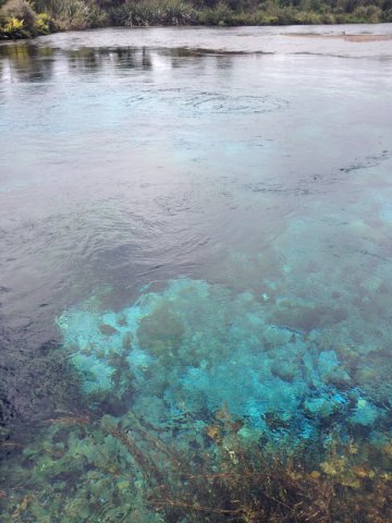 nz_sdinsel_2017_0008