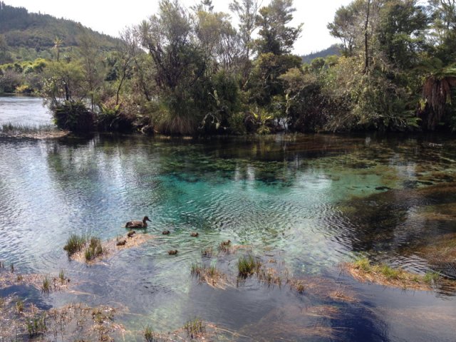 nz_sdinsel_2017_0009