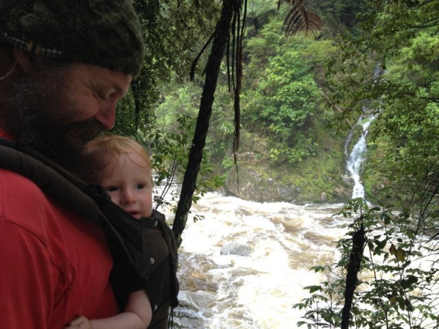 nz_sdinsel_2017_0010