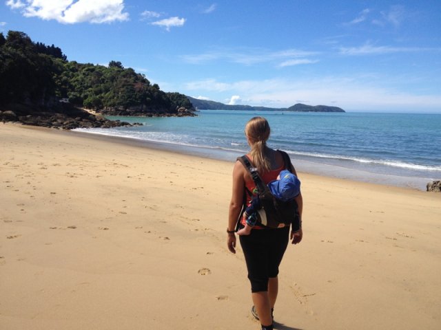 nz_sdinsel_2017_0013