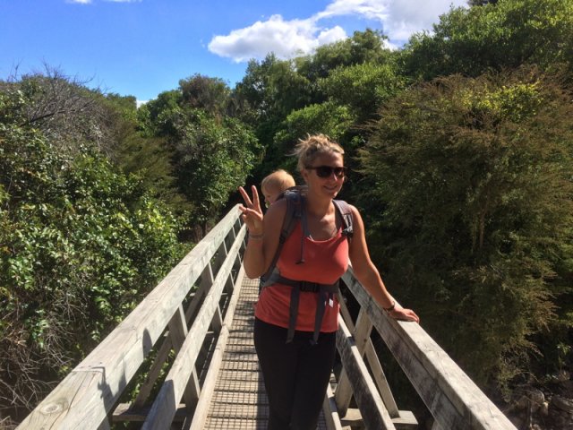 nz_sdinsel_2017_0027