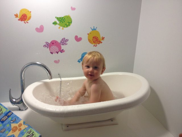 nz_sdinsel_2017_0028