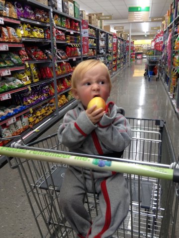 nz_sdinsel_2017_0030