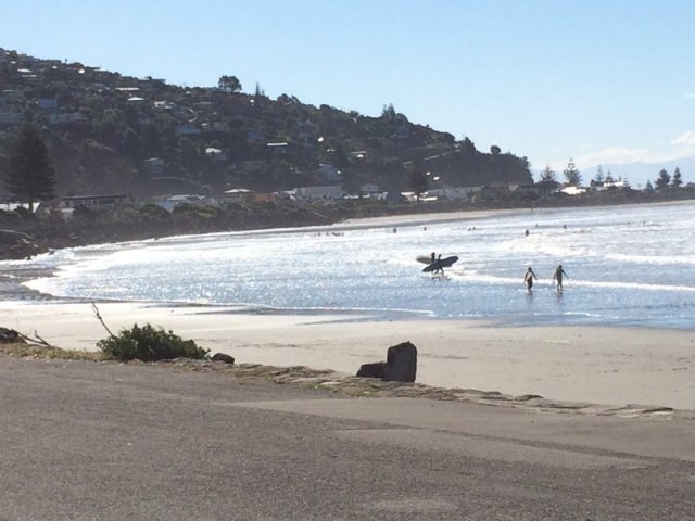 nz_sdinsel_2017_0051