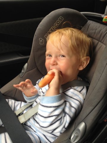 nz_sdinsel_2017_0065