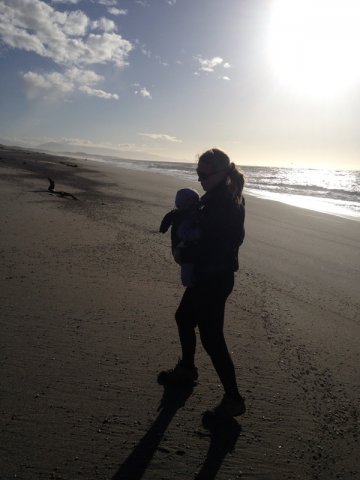 nz_sdinsel_2017_0068