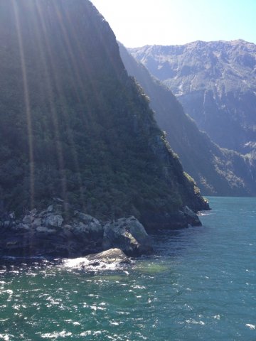 nz_sdinsel_2017_0084