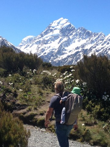 nz_sdinsel_2017_0105