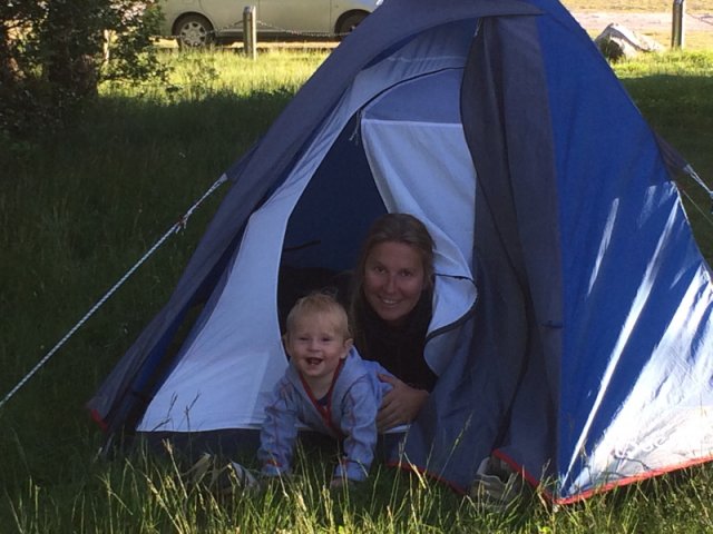 nz_sdinsel_2017_0109