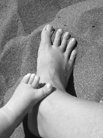 nz_sdinsel_2017_0122