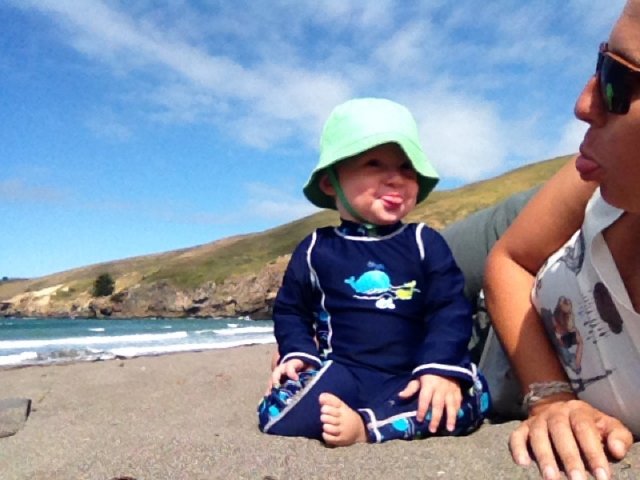 nz_sdinsel_2017_0124