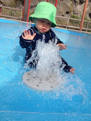 nz_sdinsel_2017_0126