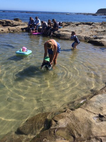 nz_sdinsel_2017_0142