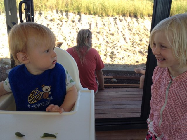 nz_sdinsel_2017_0144