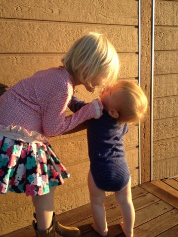 nz_sdinsel_2017_0145