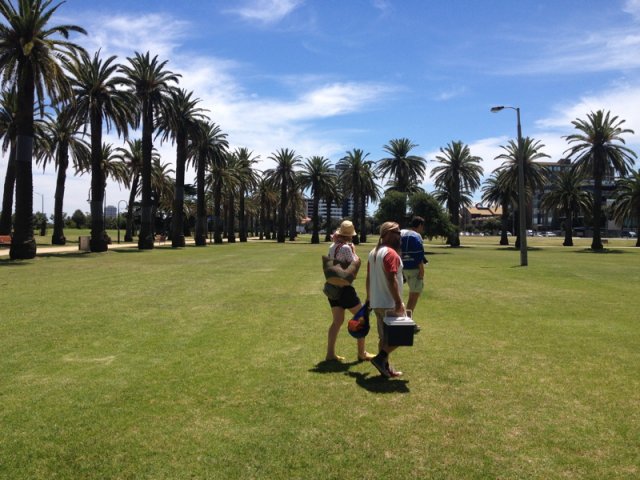 nz_sdinsel_2017_0152