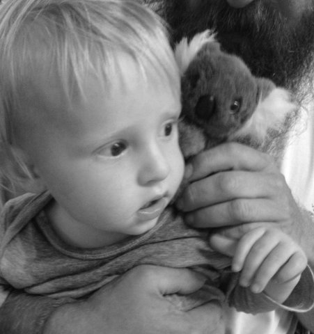 nz_sdinsel_2017_0156