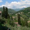barga0006