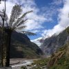 nz_sdinsel_2017_0060