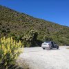 nz_sdinsel_2017_0073